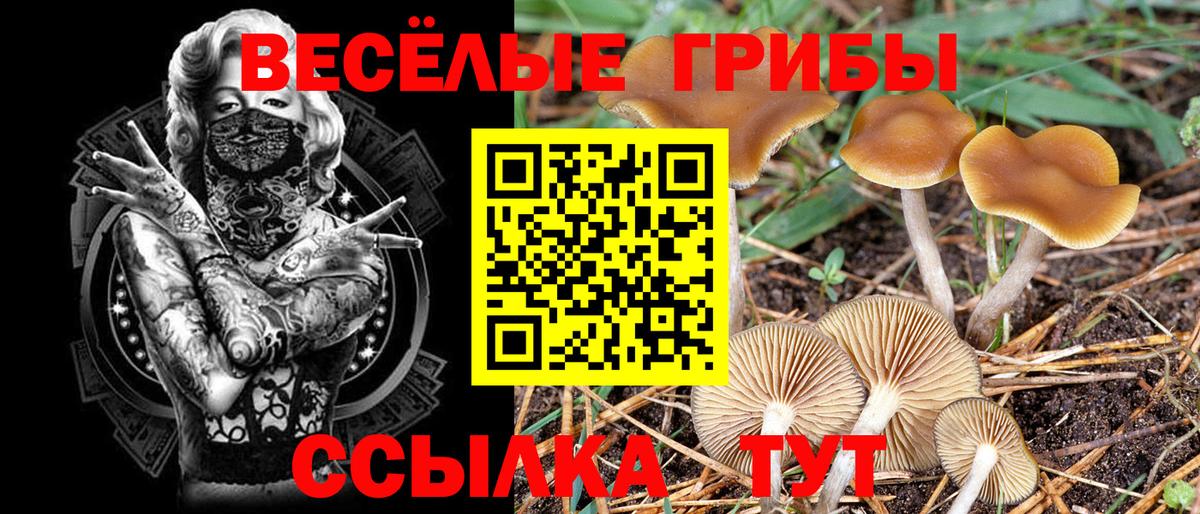 Галлюциногенные грибы мицелий Орёл